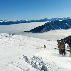 Meet your Posher, Marlene